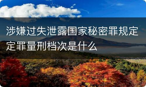 涉嫌过失泄露国家秘密罪规定定罪量刑档次是什么