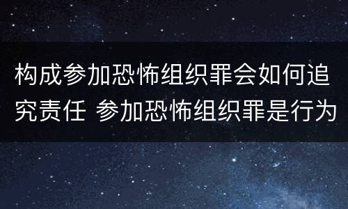 构成参加恐怖组织罪会如何追究责任 参加恐怖组织罪是行为犯还是举动犯