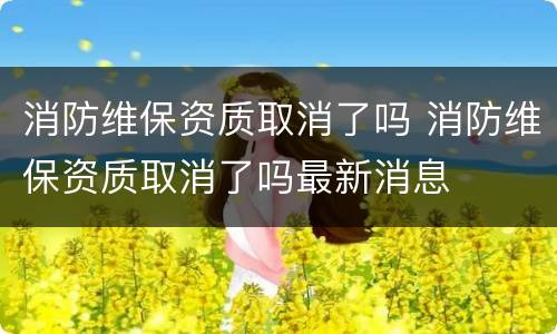 消防维保资质取消了吗 消防维保资质取消了吗最新消息