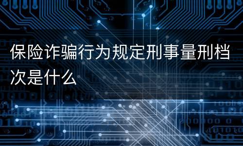 保险诈骗行为规定刑事量刑档次是什么