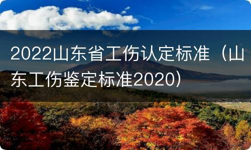 2022山东省工伤认定标准（山东工伤鉴定标准2020）