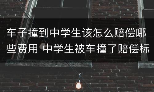 车子撞到中学生该怎么赔偿哪些费用 中学生被车撞了赔偿标准