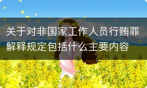 关于对非国家工作人员行贿罪解释规定包括什么主要内容