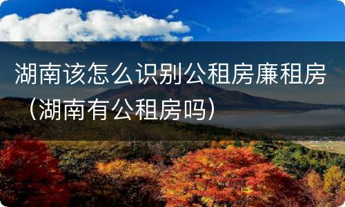 湖南该怎么识别公租房廉租房（湖南有公租房吗）