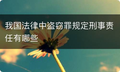 我国法律中盗窃罪规定刑事责任有哪些