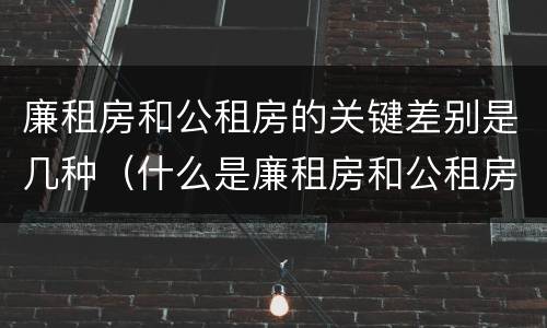 廉租房和公租房的关键差别是几种（什么是廉租房和公租房两个有什么特点）