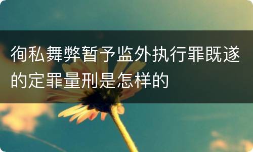 徇私舞弊暂予监外执行罪既遂的定罪量刑是怎样的