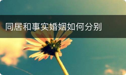 同居和事实婚姻如何分别