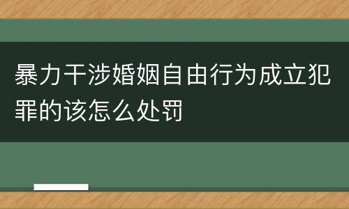 暴力干涉婚姻自由行为成立犯罪的该怎么处罚