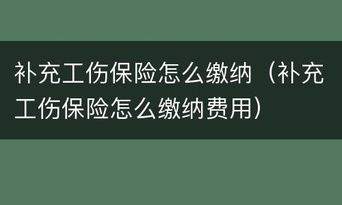 补充工伤保险怎么缴纳（补充工伤保险怎么缴纳费用）