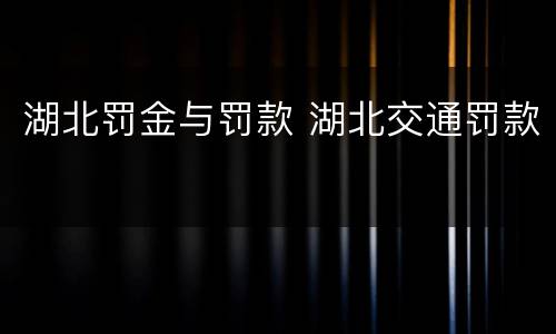 湖北罚金与罚款 湖北交通罚款