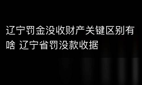 辽宁罚金没收财产关键区别有啥 辽宁省罚没款收据