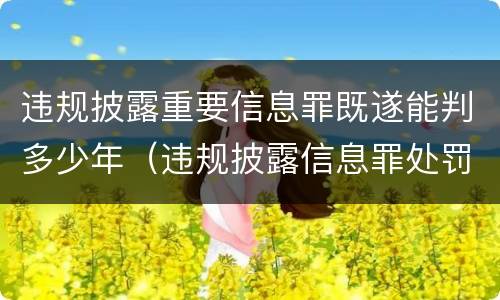 违规披露重要信息罪既遂能判多少年（违规披露信息罪处罚）