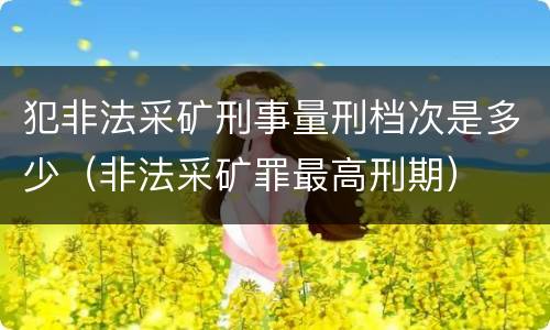 犯非法采矿刑事量刑档次是多少（非法采矿罪最高刑期）