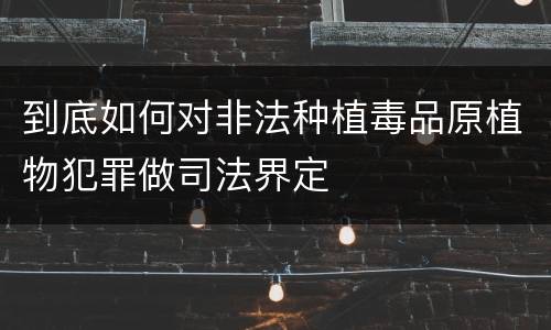 到底如何对非法种植毒品原植物犯罪做司法界定
