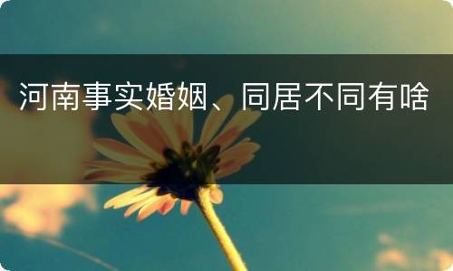 河南事实婚姻、同居不同有啥