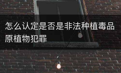 怎么认定是否是非法种植毒品原植物犯罪