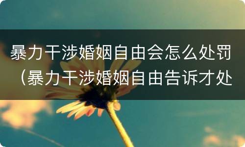 暴力干涉婚姻自由会怎么处罚（暴力干涉婚姻自由告诉才处理）