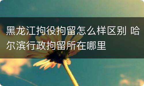 黑龙江拘役拘留怎么样区别 哈尔滨行政拘留所在哪里