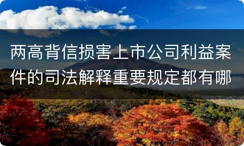 两高背信损害上市公司利益案件的司法解释重要规定都有哪些