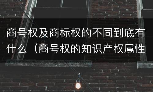 商号权及商标权的不同到底有什么（商号权的知识产权属性）