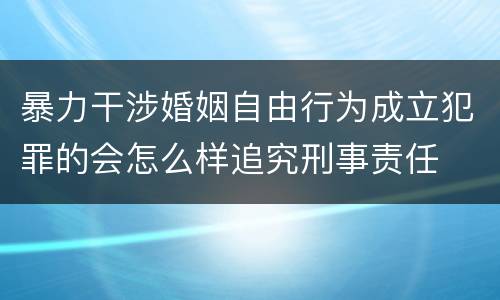 暴力干涉婚姻自由行为成立犯罪的会怎么样追究刑事责任