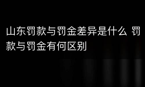 山东罚款与罚金差异是什么 罚款与罚金有何区别