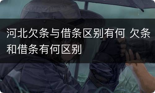 河北欠条与借条区别有何 欠条和借条有何区别