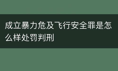 成立暴力危及飞行安全罪是怎么样处罚判刑