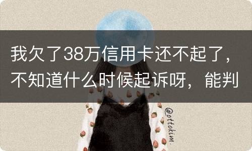 我欠了38万信用卡还不起了，不知道什么时候起诉呀，能判刑几年