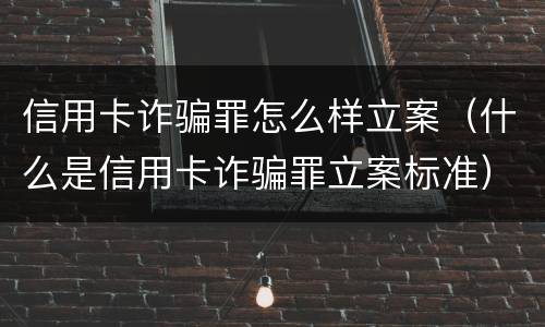 信用卡诈骗罪怎么样立案（什么是信用卡诈骗罪立案标准）