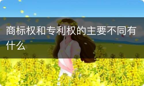 商标权和专利权的主要不同有什么