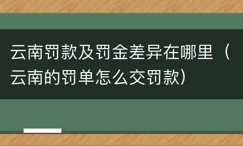 云南罚款及罚金差异在哪里（云南的罚单怎么交罚款）