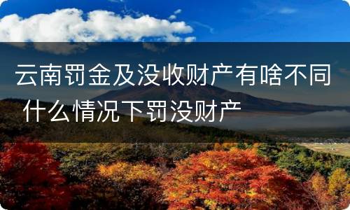 云南罚金及没收财产有啥不同 什么情况下罚没财产