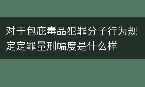 对于包庇毒品犯罪分子行为规定定罪量刑幅度是什么样