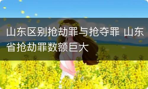 山东区别抢劫罪与抢夺罪 山东省抢劫罪数额巨大