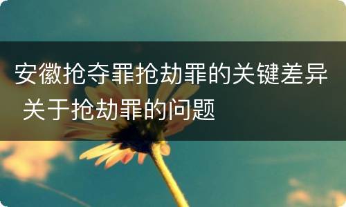 安徽抢夺罪抢劫罪的关键差异 关于抢劫罪的问题