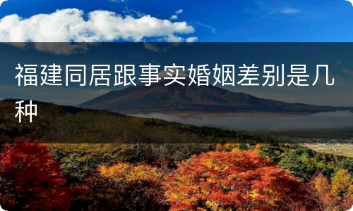 福建同居跟事实婚姻差别是几种