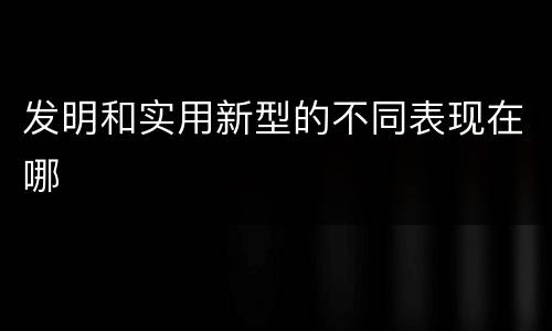 发明和实用新型的不同表现在哪