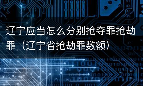 辽宁应当怎么分别抢夺罪抢劫罪（辽宁省抢劫罪数额）