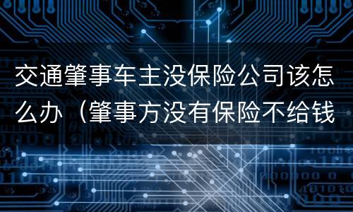 交通肇事车主没保险公司该怎么办（肇事方没有保险不给钱怎么办）