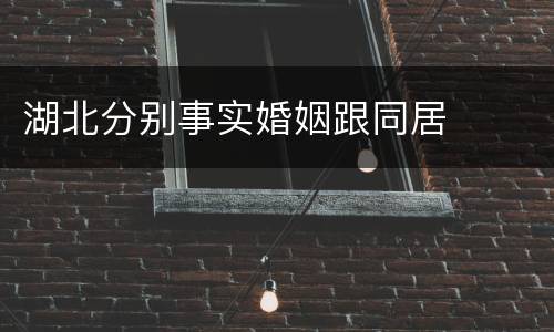 湖北分别事实婚姻跟同居