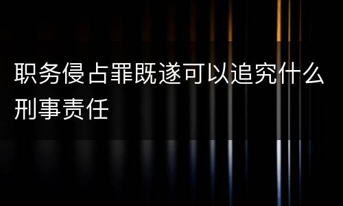 职务侵占罪既遂可以追究什么刑事责任