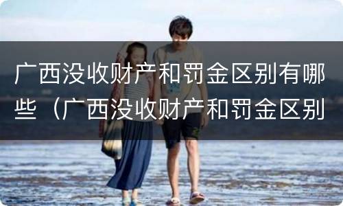 广西没收财产和罚金区别有哪些（广西没收财产和罚金区别有哪些呢）