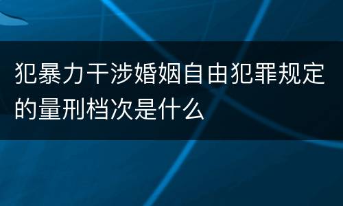 犯暴力干涉婚姻自由犯罪规定的量刑档次是什么