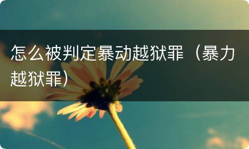 怎么被判定暴动越狱罪（暴力越狱罪）