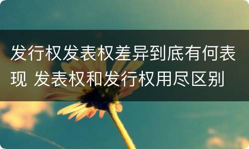发行权发表权差异到底有何表现 发表权和发行权用尽区别