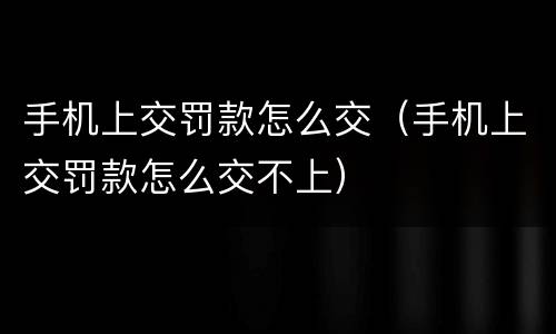 手机上交罚款怎么交（手机上交罚款怎么交不上）