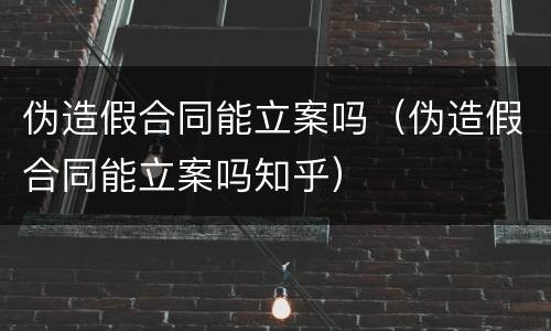 伪造假合同能立案吗（伪造假合同能立案吗知乎）