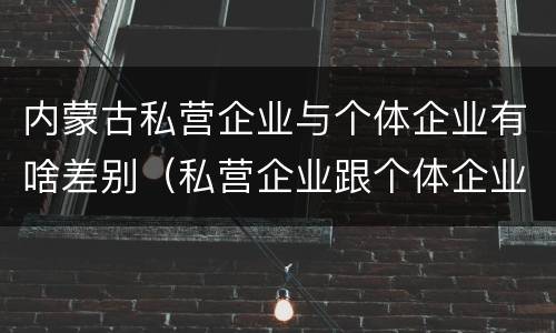内蒙古私营企业与个体企业有啥差别（私营企业跟个体企业的区别）